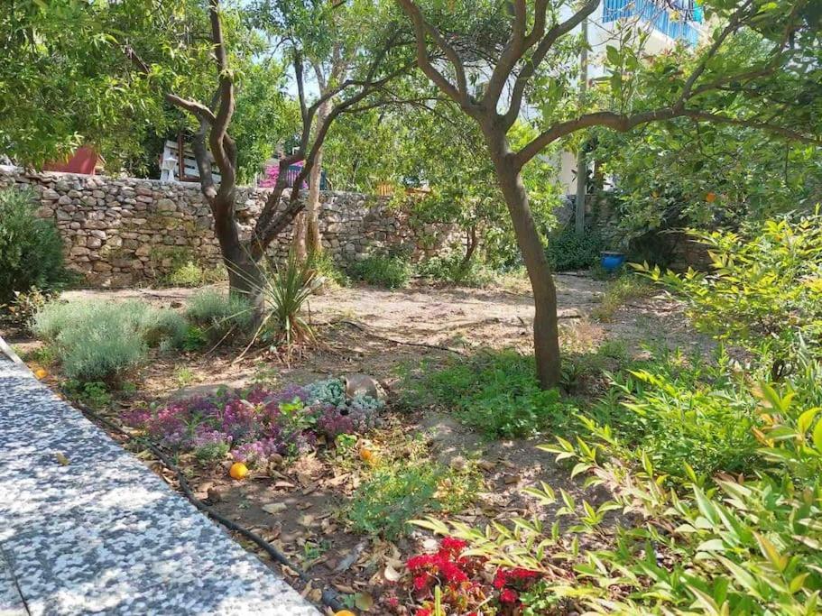 Mel'S Garden House In The Heart Of The City بودروم المظهر الخارجي الصورة