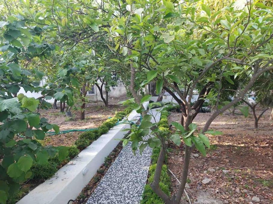 Mel'S Garden House In The Heart Of The City بودروم المظهر الخارجي الصورة