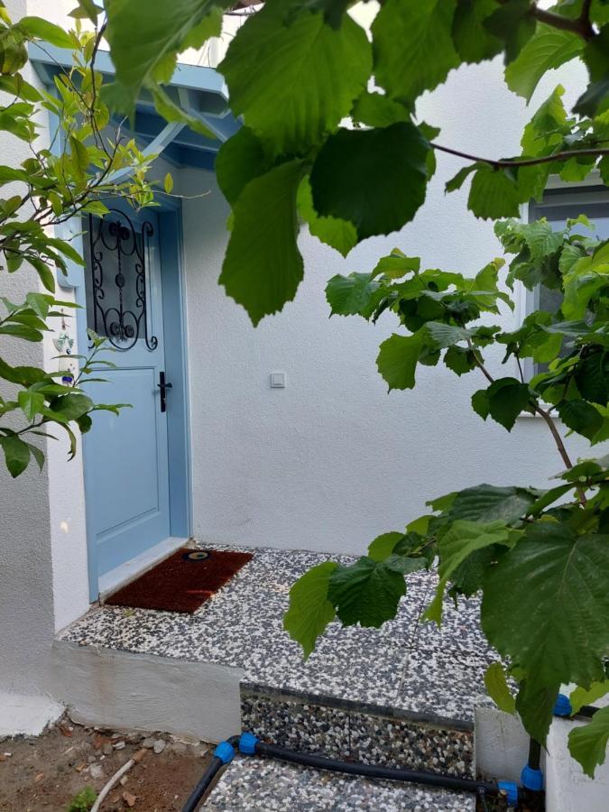 Mel'S Garden House In The Heart Of The City بودروم المظهر الخارجي الصورة